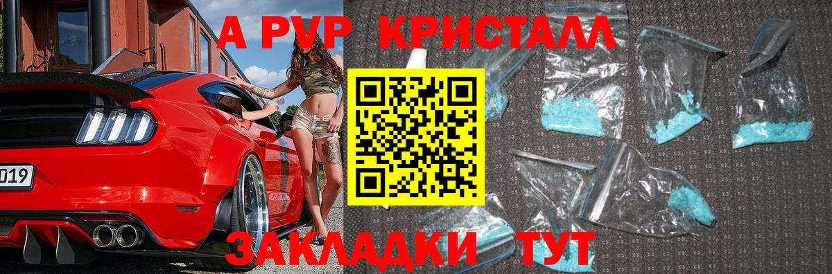 Alfa_PVP СК КРИС Черкесск