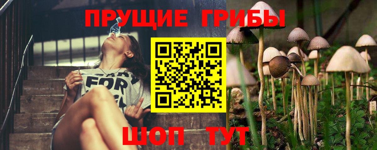 Черкесск  Галлюциногенные грибы мицелий  закладки  Вход с VPN 