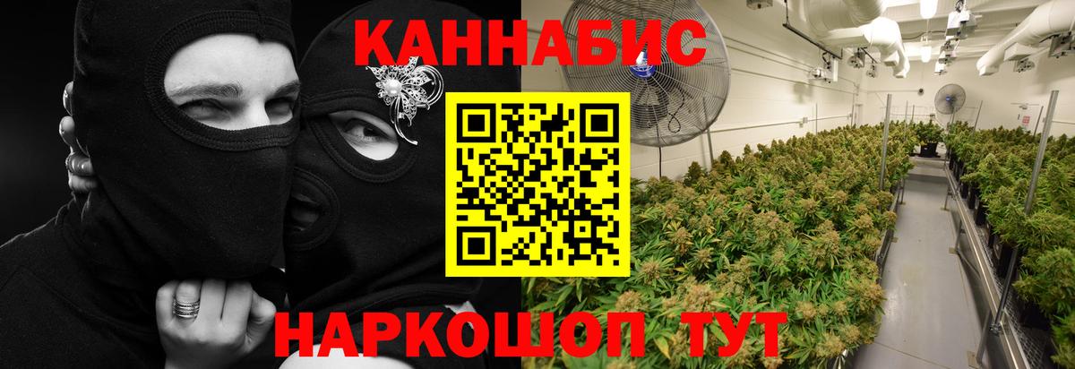 Бошки марихуана Bruce Banner  МАРИХУАНА планчик  Вход с VPN  Бошки Шишки планчик  Черкесск 